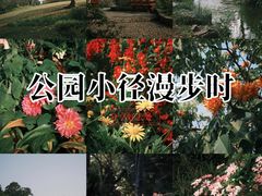 -东莞植物园