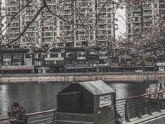 -西北湖绿化广场