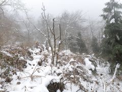 -九峰山