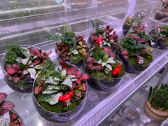 -KKV(东莞海德汇一城店)