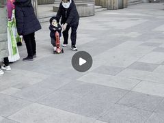 -天鹅到家·保姆月嫂育儿嫂(总店)