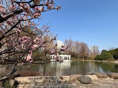 -新虹桥中心花园