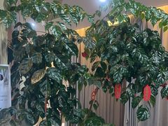 -麦悠悠·SPA·推拿(沈杜公路地铁站店)