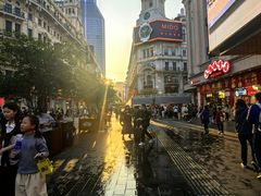 -沈大成(南京东路店)