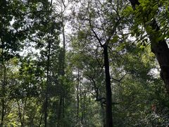 -白云山风景名胜区