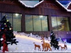 -世界之窗阿尔卑斯冰雪世界
