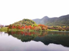 -贵阳市花溪国家城市湿地公园