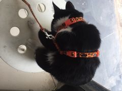 -艾加柒克蛋糕茶歇甜品台(春熙路店)