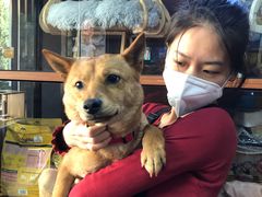 -Goku PET SHOP宠物视觉生活馆(双井店)