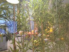 -磁课·成人英语·雅思培训(高新校区)