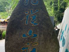 -西双版纳原始森林公园