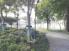 -贡湖湾湿地公园