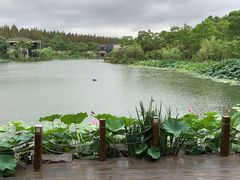 -上海怡沁园度假酒店