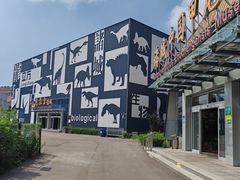 -诸城市恐龙博物馆