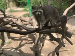 -宁波野生动物园