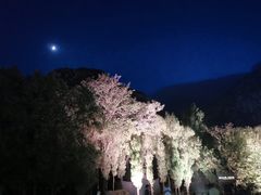 -禅宗少林·音乐大典