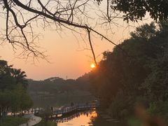 -东莞植物园