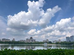 -莲花池公园