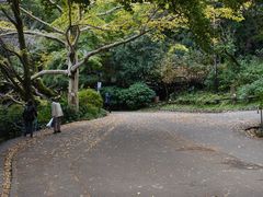 -井之头恩赐公园