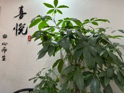 -喜悦月子会所
