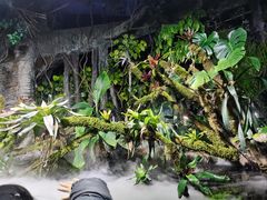 -杭州长乔极地海洋公园