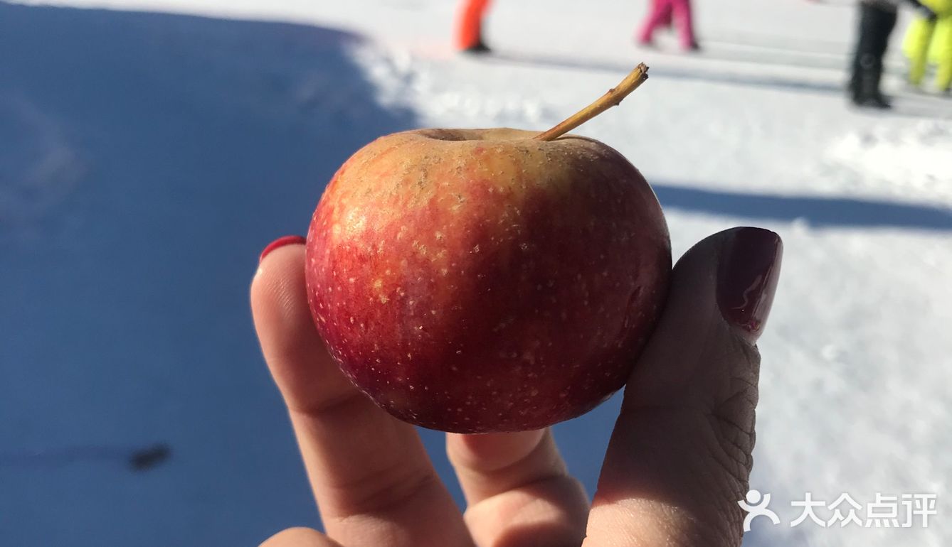 一生中必须来一趟的地方！中国雪乡❄️