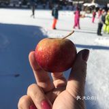 一生中必须来一趟的地方！中国雪乡❄️