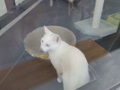 -弓舍射箭俱乐部(高新总店)
