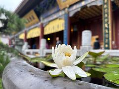 -西安大兴善寺
