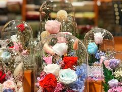 -西西弗书店&矢量咖啡(来福士广场店)