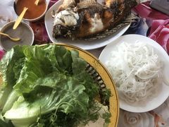 -西双版纳原始森林公园