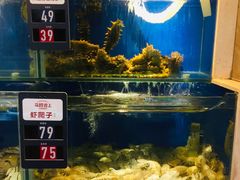 水产区-马路边上·小海鲜烧烤(八一路店)