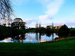 -怀托摩萤火虫洞