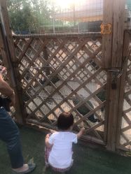 -萌宠亲子动物乐园(槐房万达店)