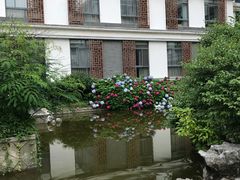 -太湖湾开元名庭大酒店