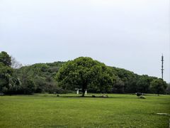 -艾溪湖湿地公园