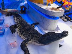 -澜悦港海鲜体验主题餐厅