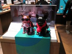 -顺电sundan(颐堤港店)