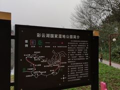 -重庆彩云湖湿地公园