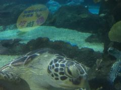 -石家庄海洋公园