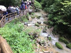 -武隆天坑地缝国家地质公园