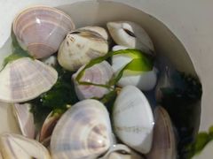 -六鳌翡翠湾滨海度假景区