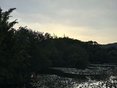 -白马涧龙池景区