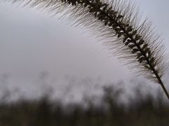 -西青郊野公园