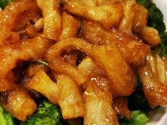 葱烧蹄筋-鸢飞潍坊菜馆(鸢飞大酒店)