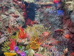 -太平洋海底世界