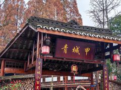 -青城甲(青城山店)