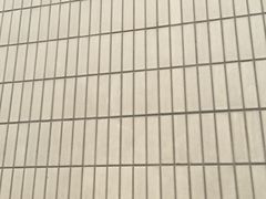 -山东大学千佛山校区-图书馆