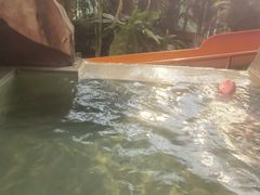 -中家鑫园温泉酒店鑫悦汤泉