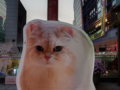 -福田卓悦INTOWN购物中心
